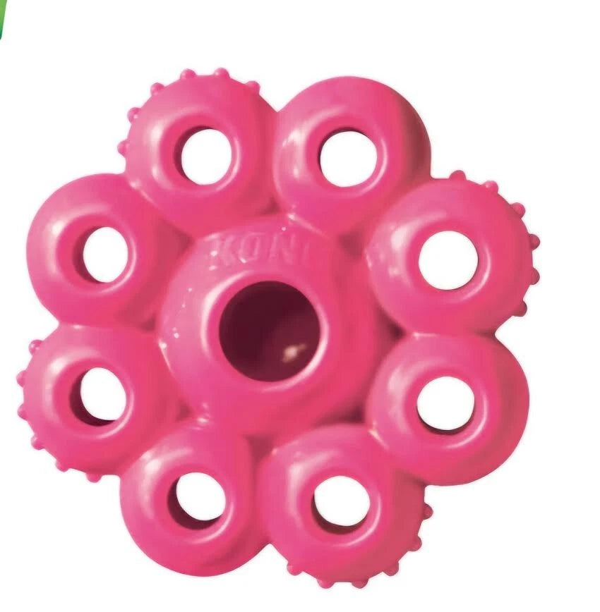 KONG Quest Star Pod